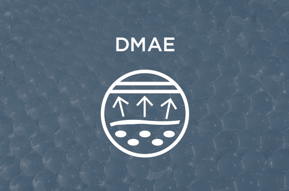 DMAE Ingredient Icon