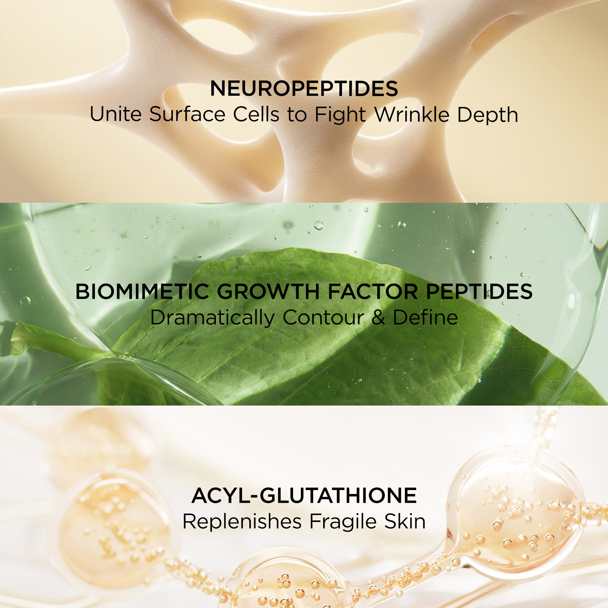 Ingredient List Block