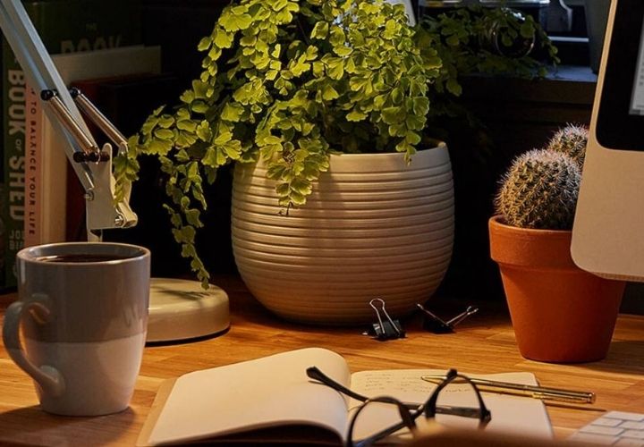 Student Discounts Partners Homebase