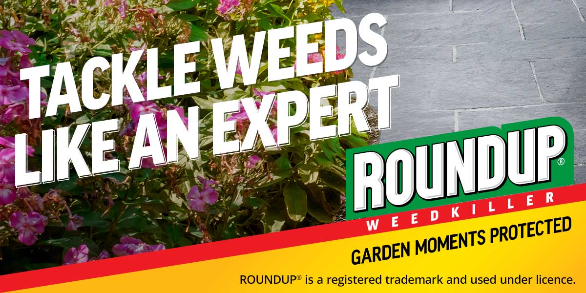 Roundup brand page header banner