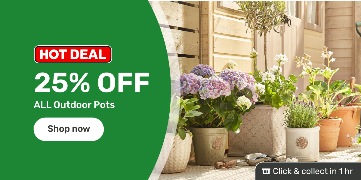 25% Off all outdoor pots