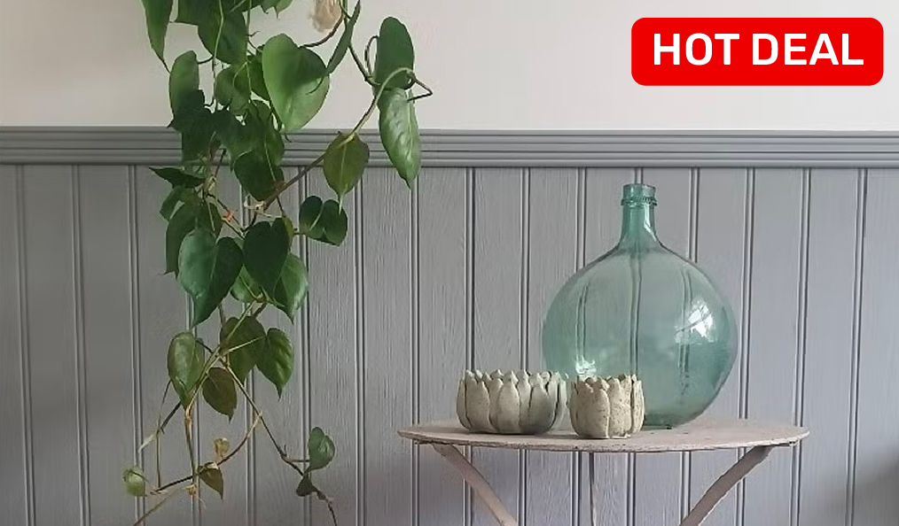 Buy 1 Get 1 Half Price on Wall Panelling and Cladding