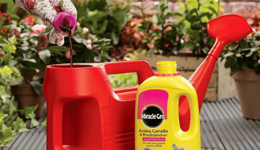Lawn and Plant Care Deals