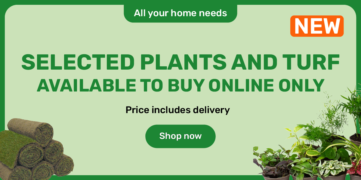 Online only plants
