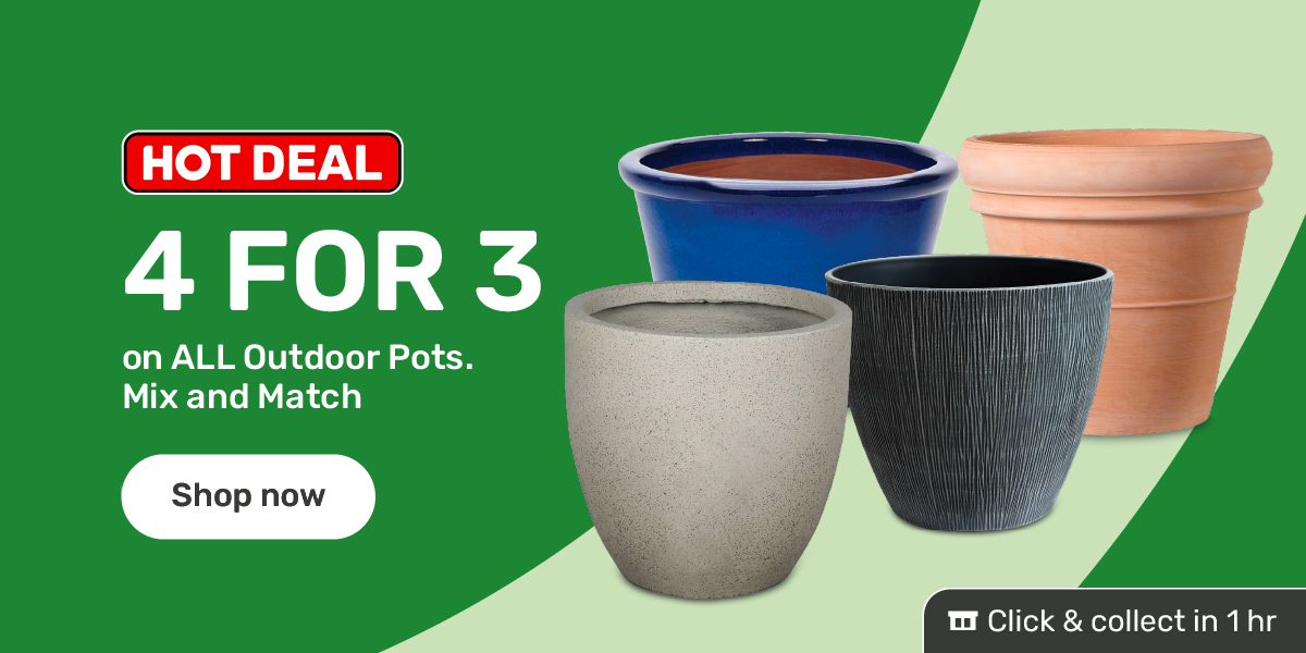 4 for 3 on ALL Outdoor Pots