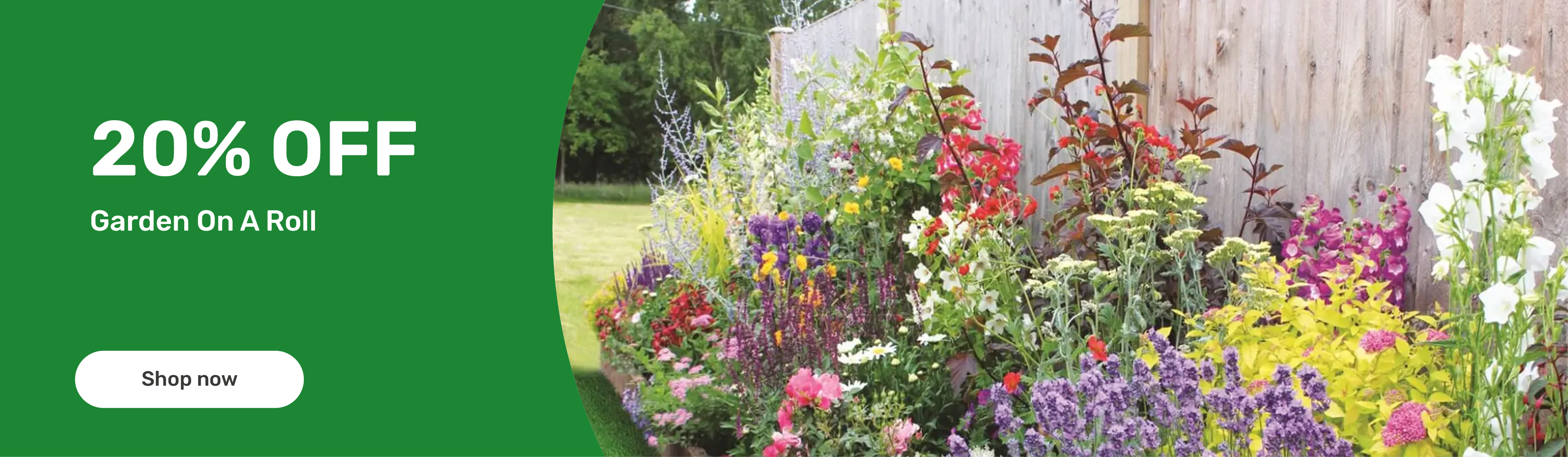 Free Flower Seeds And Bulbs Samples Best Flower Site