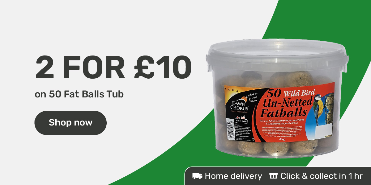 2 for £10 on 50 Fat Balls Tub