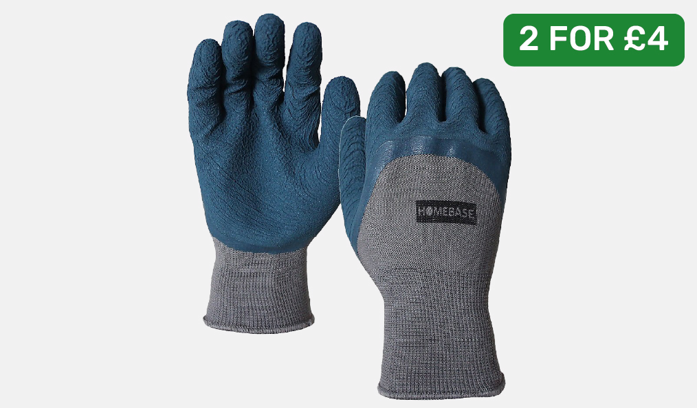 2 for £4 on Gloves