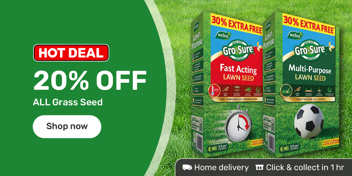 20% Off all grass seed