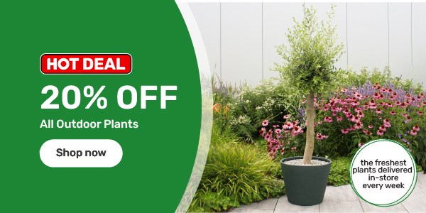 20% off all outdoor plants. The freshest plants delivered in-store every week.