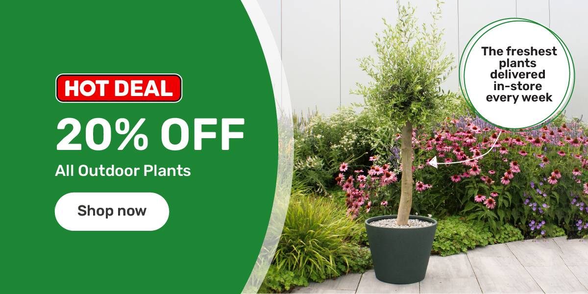 20% off All Outdoor Plants