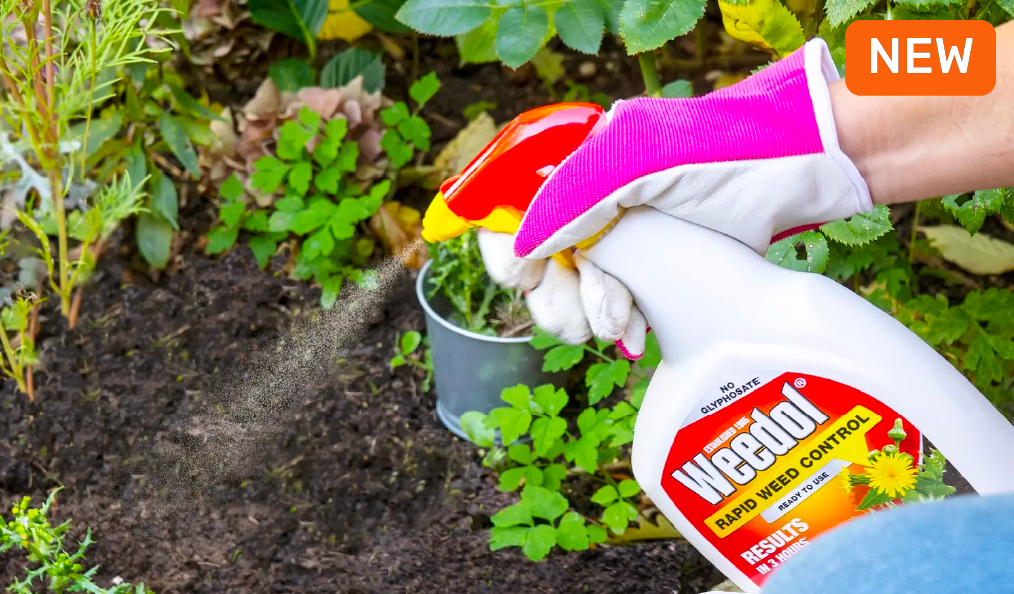 Aftercut Weed Killer Weed Killer From Roundup, Weedol, Resolva & More