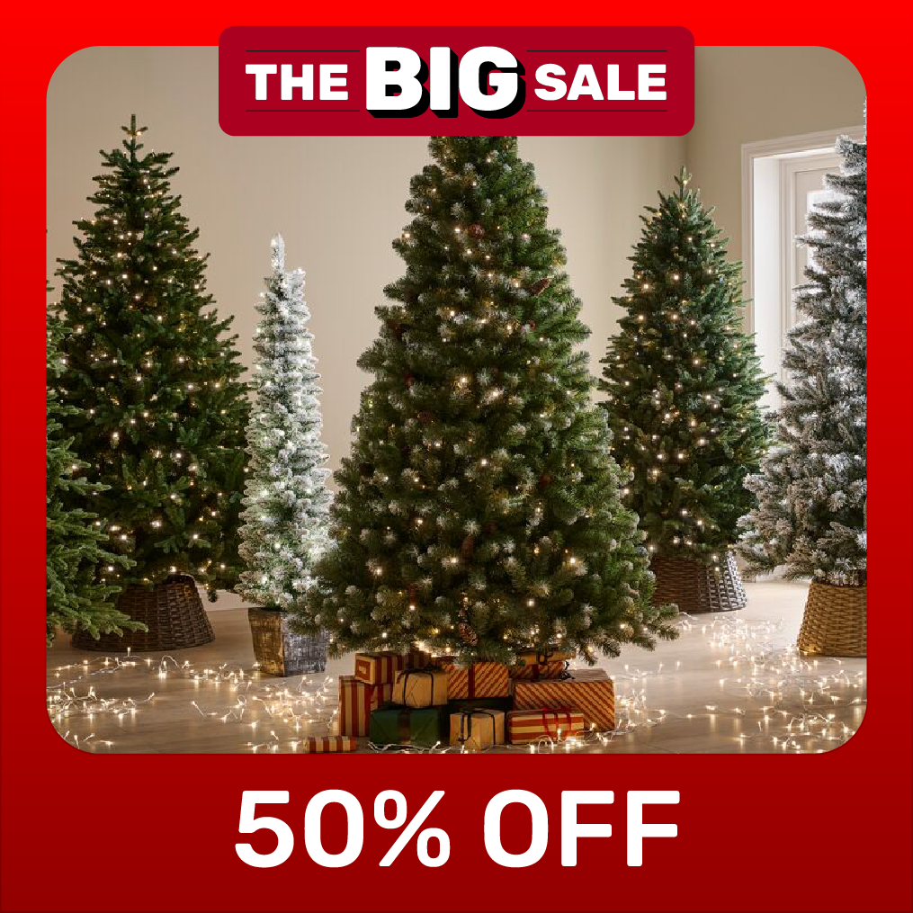 50% off Christmas Trees