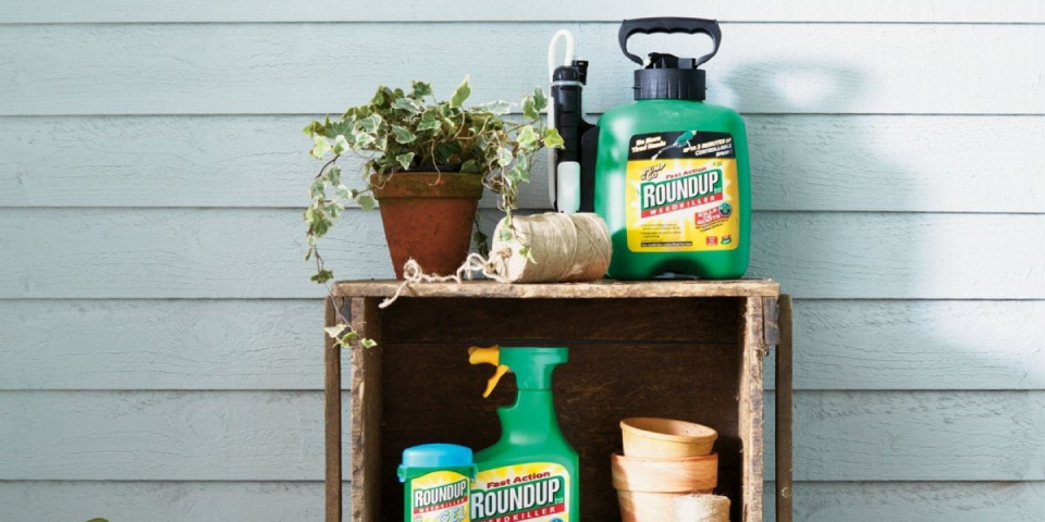 How To Choose The Best Weed Killer