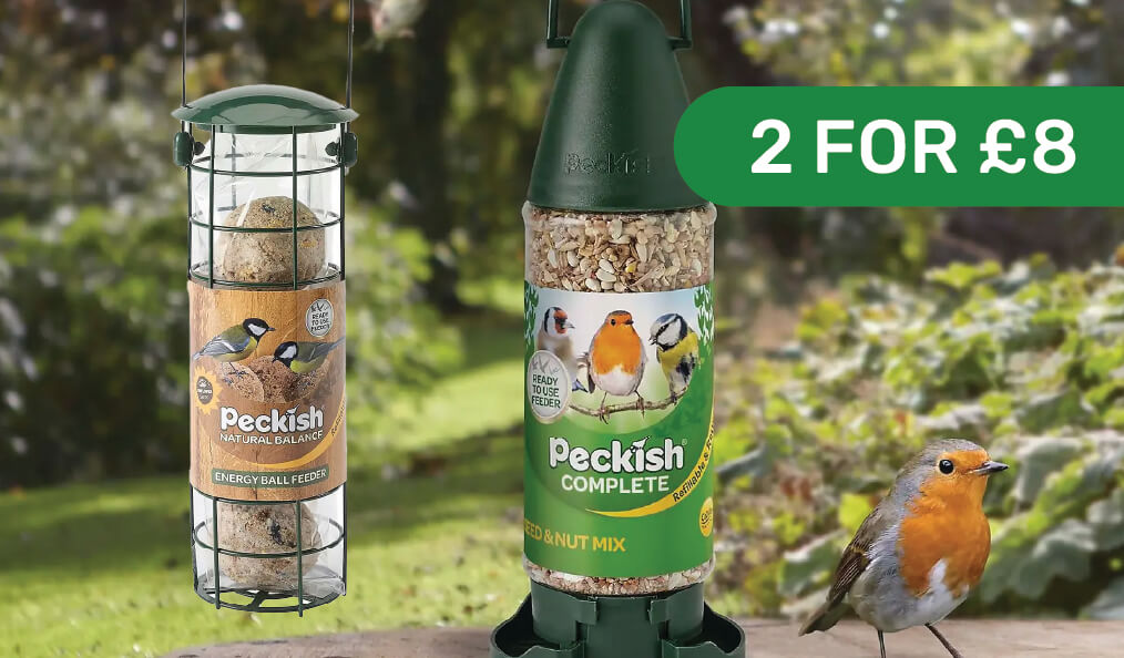 2 for £8 on Peckish Filled Bird Feeders