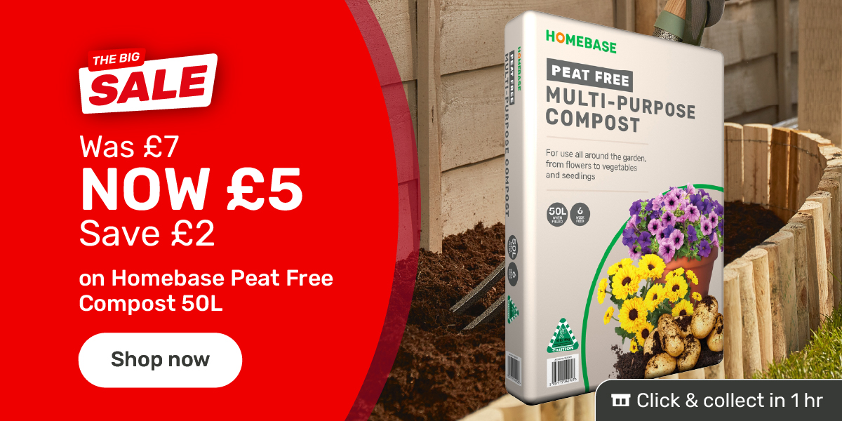 Homebase peat free compost 50l save £2