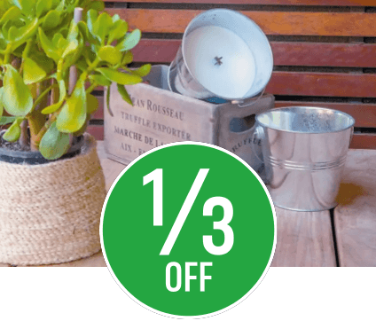 Save 1/3 on selected Insect Control
