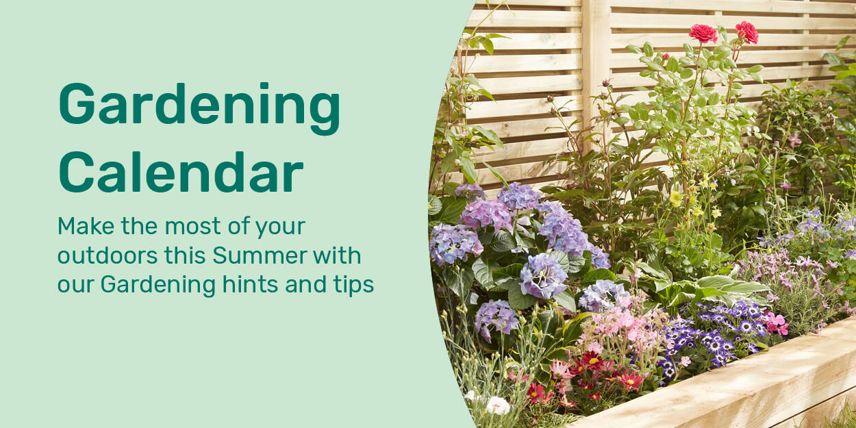 make the most of gardening this summer with our gardening hints and tips