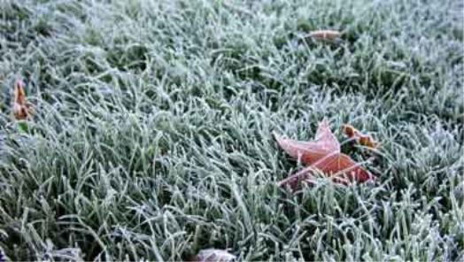 How to maintain your lawn in Winter
