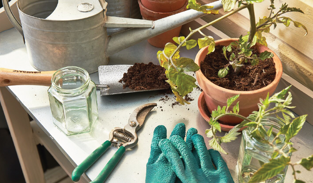 Get back outdoors with our gardening hints and tips