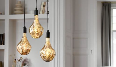 Decorative Lightbulbs