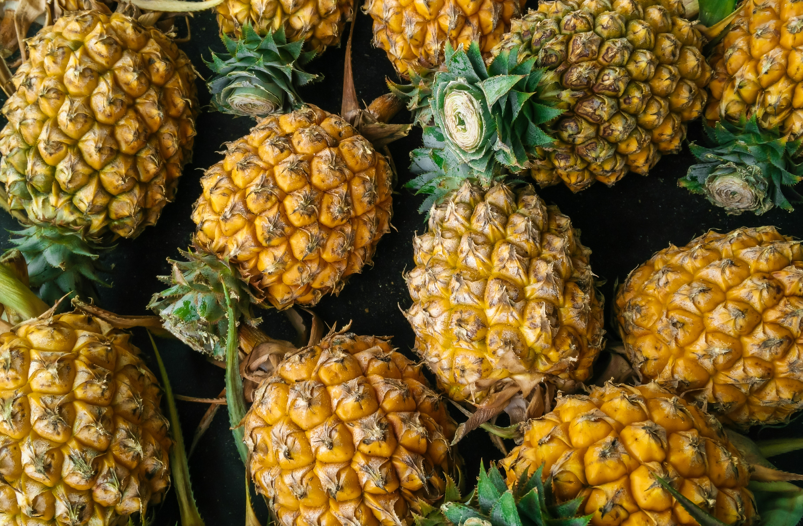 BROMELAIN: A plant origin proteolytic enzyme, derived from the stem of pineapples.