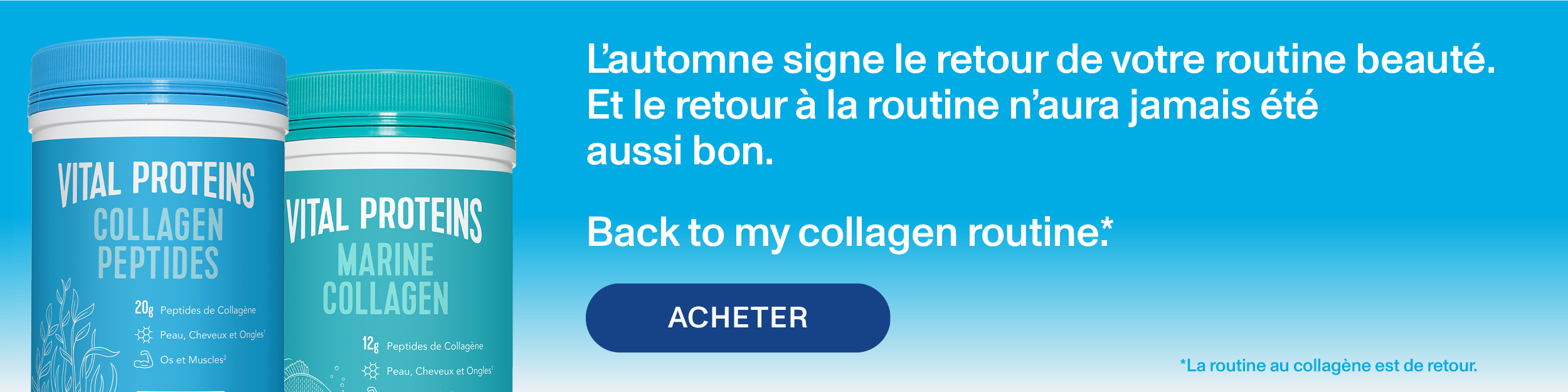 Profitez de la livraison OFFERTE sur nos exclusivités en ligne