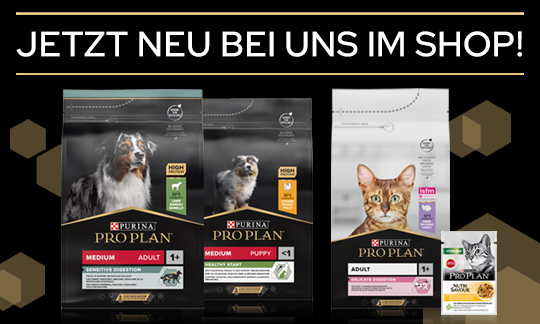 new products banner