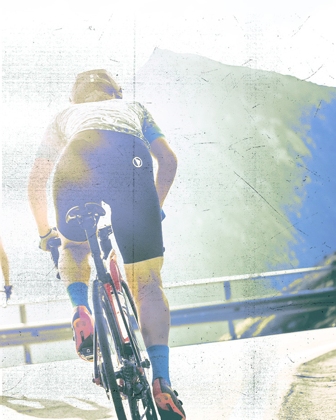 Women's Pro SL Bibshorts