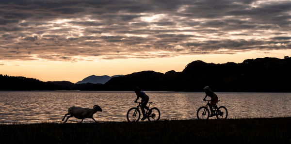 Hummvee Shorts. Entdecke die Kollektion. Jetzt Shoppen.