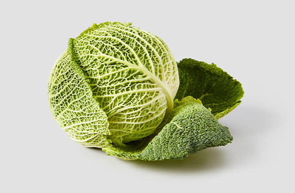 Cabbage Leaf Extract
