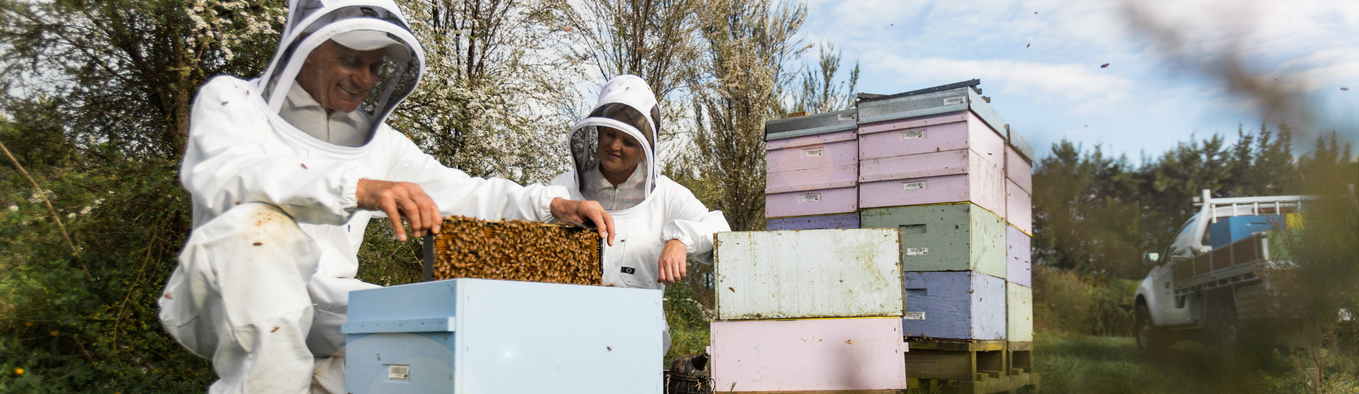A man in a protective costume holding a hive next to a honey bee farm, while a woman in a protective costume observes the process.