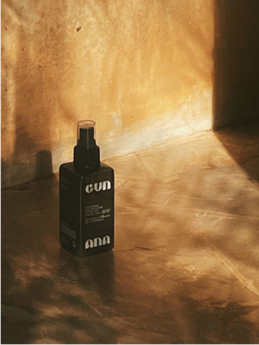 GUN ANA