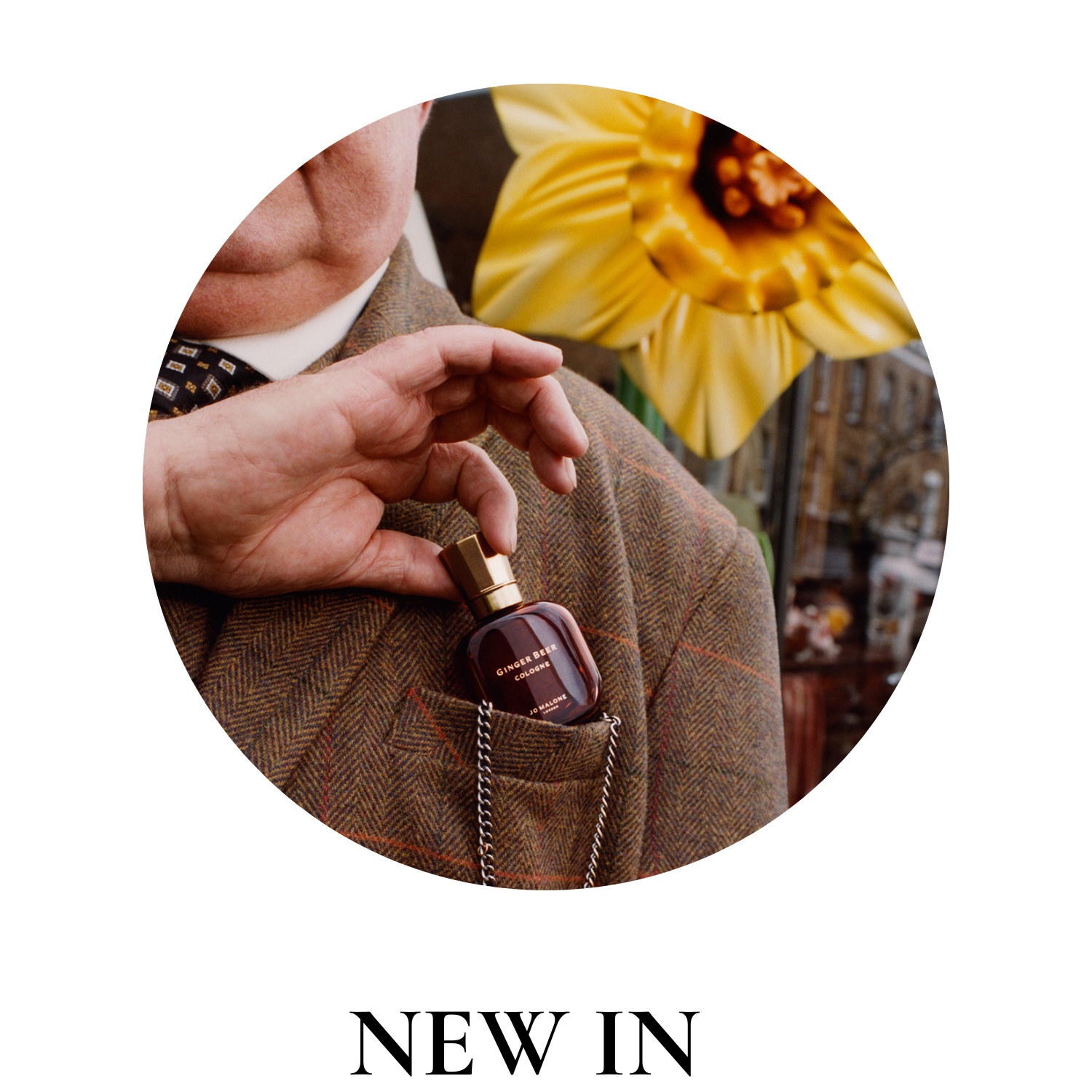 New In