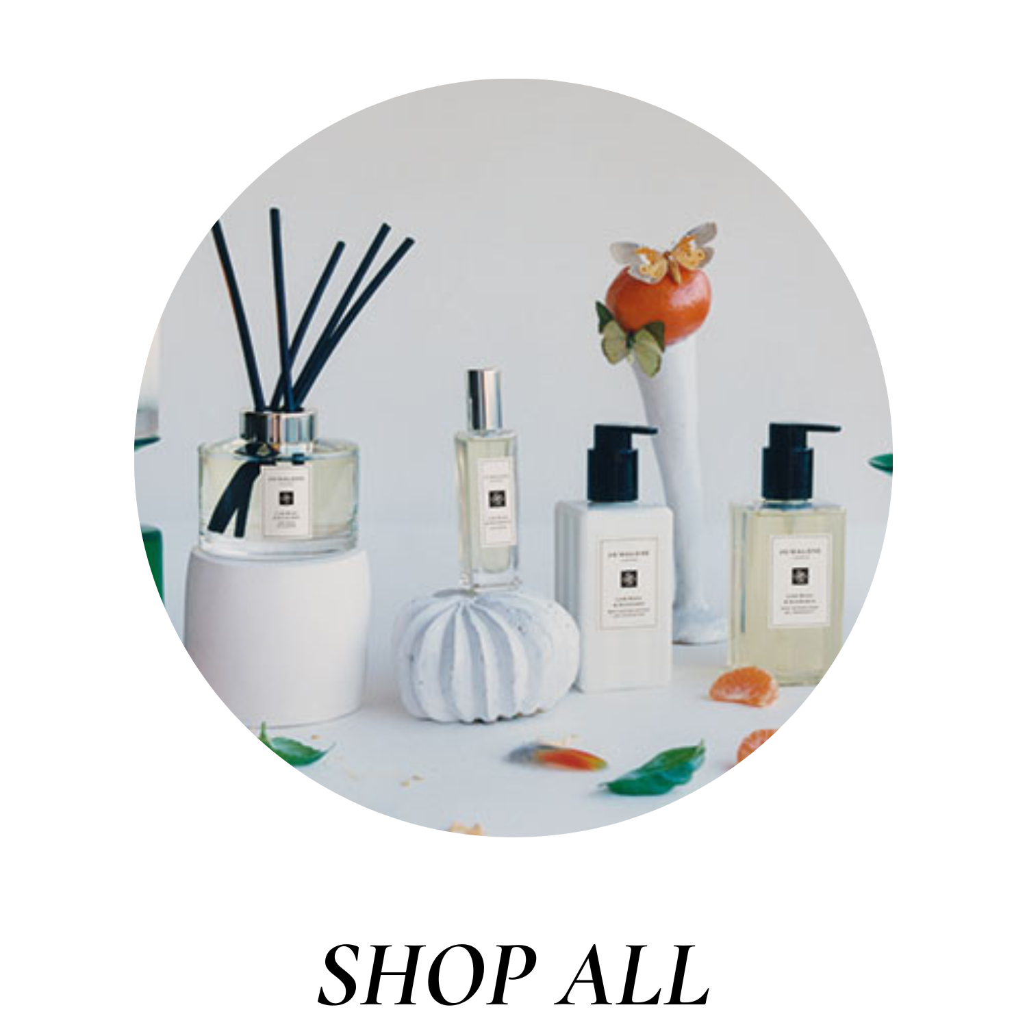 Shop All
