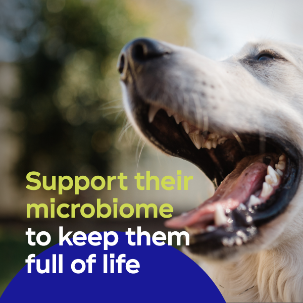 Support their microbiome to keep them full of life