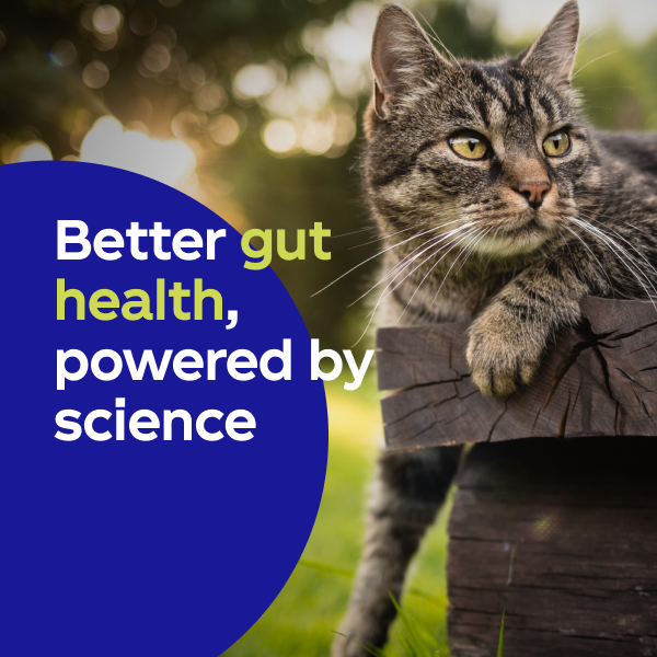 Better gut health, powered by science