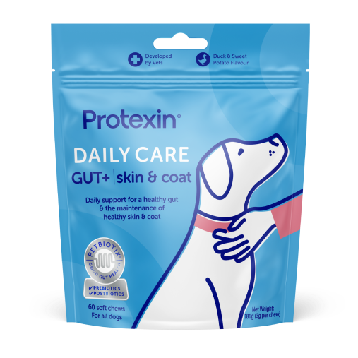 Daily Care Gut+ Skin & Coat Chews for Dogs