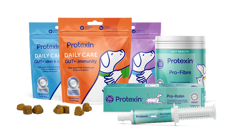 Daily care packages lined up