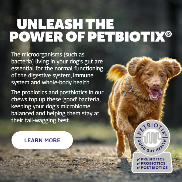 UNLEASH THE POWER OF PETBIOTIX®  The micro-organisms (such as bacteria) living in your dog’s gut are essential for the normal functioning of the digestive system, immune system and whole-body health.  The probiotics, prebiotics and postbiotics in our chews top up these ‘good’ bacteria, keeping your dog’s microbiome balanced and helping them stay at their tail-wagging best. Learn More.