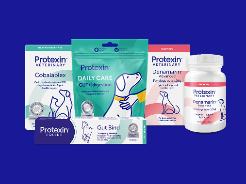 Part of the Protexin Family
