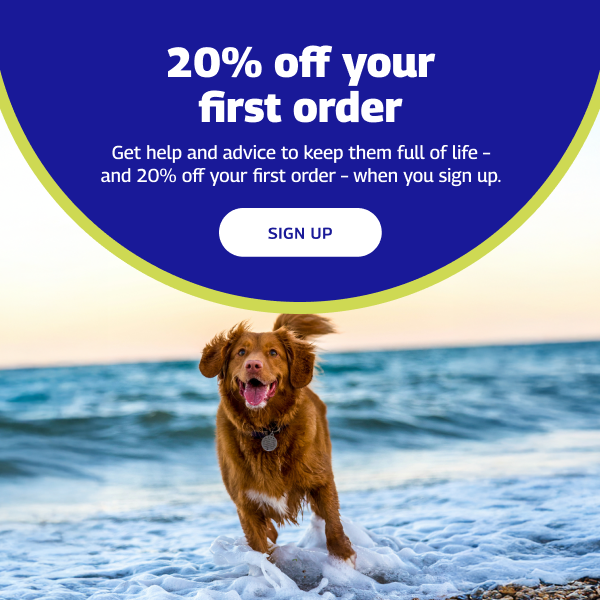 Refer a friend banner of dog running on the beach