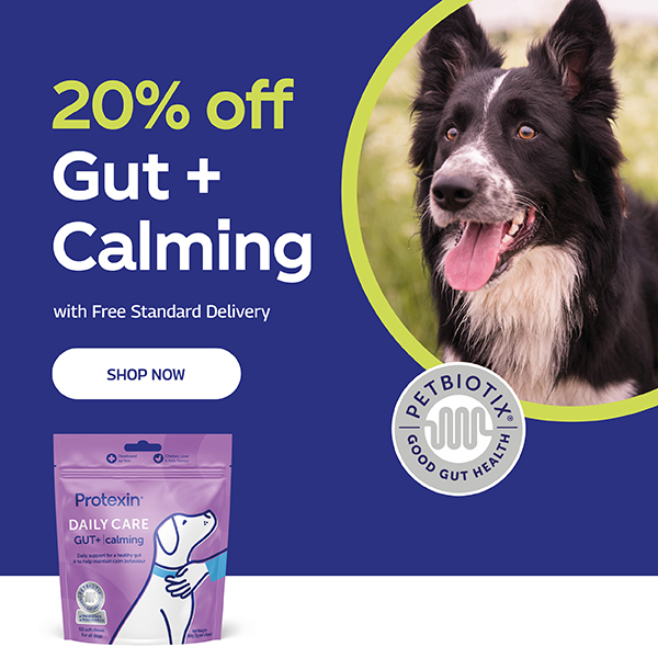 20% off Gut + Calming with free standard delivery