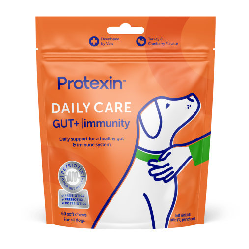 Daily Care Gut+ Immunity Chews for Dogs
