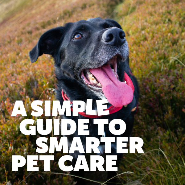 A SIMPLE GUIDE TO SMARTER PET CARE