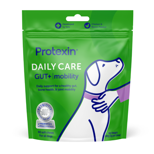 Daily Care Gut+ Mobility Chews for Dogs