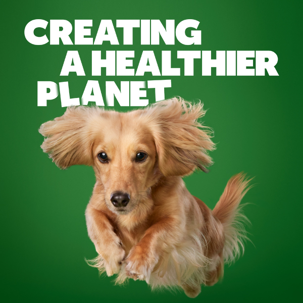 Creating a healthier planet