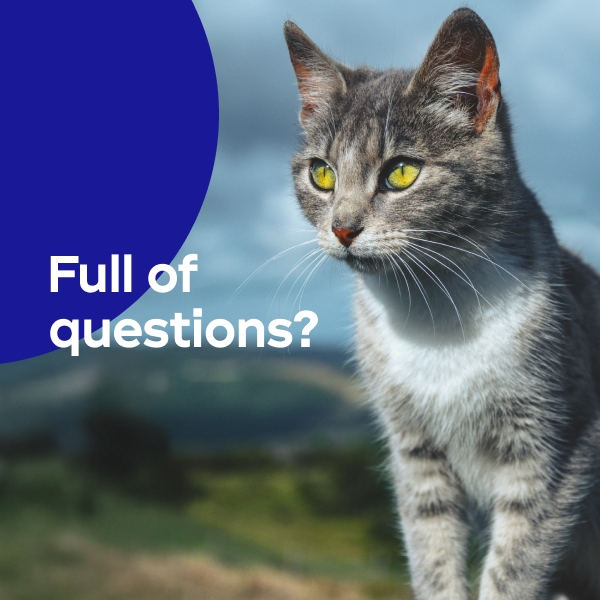 Full of Questions?