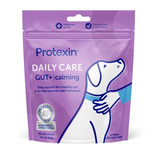 Daily Care Gut+ Calming Chews for Dogs