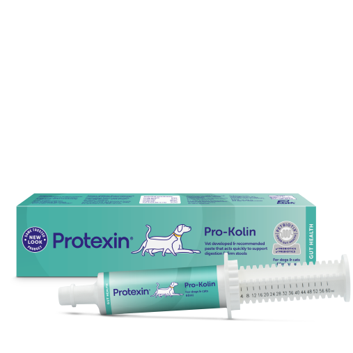 Pro-Kolin Paste for Cats and Dogs